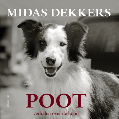 Poot, Midas Dekkers - Luisterboek MP3 - 9789045046723