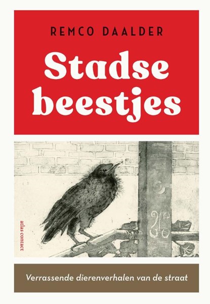 Stadse beestjes, Remco Daalder - Gebonden - 9789045048178