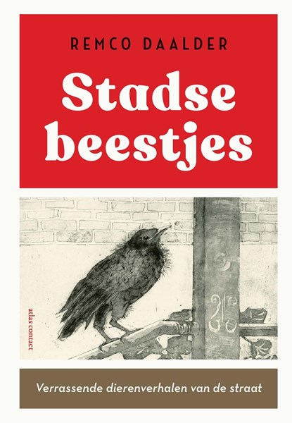 Stadse beestjes, Remco Daalder - Ebook - 9789045048185