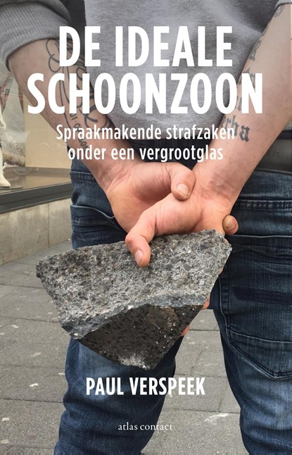 De ideale schoonzoon, Paul Verspeek - Ebook - 9789045048567