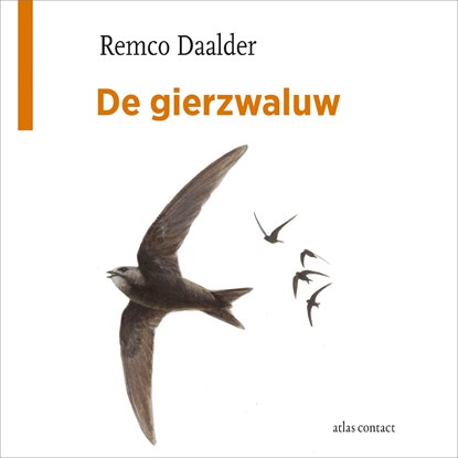 De gierzwaluw, Remco Daalder - Luisterboek MP3 - 9789045048840
