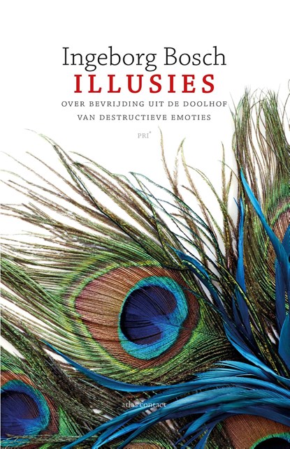 Illusies, Ingeborg Bosch - Ebook - 9789045049489