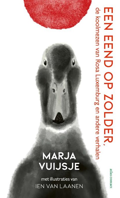 Een eend op zolder, Marja Vuijsje - Gebonden - 9789045049687