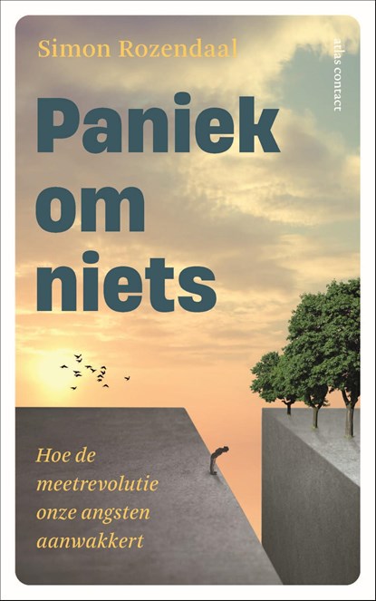 Paniek om niets, Simon Rozendaal - Paperback - 9789045051406