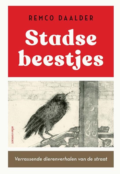 Stadse beestjes, Remco Daalder - Paperback - 9789045053653