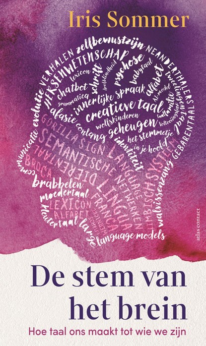 De stem van het brein, Iris Sommer - Paperback - 9789045054568