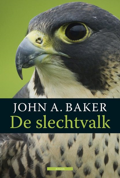 De slechtvalk, J.A. Baker - Paperback - 9789045083995