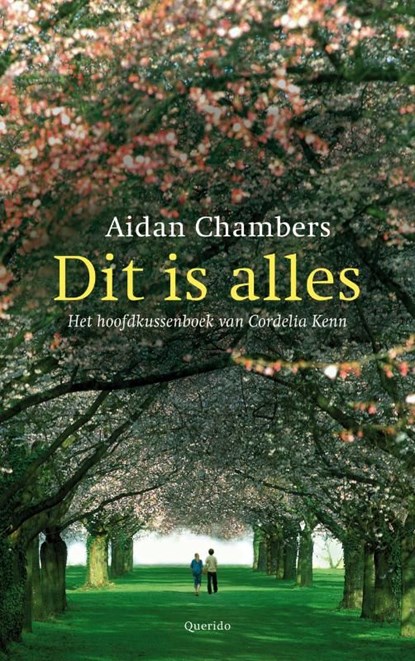 Dit is alles, Aidan Chambers - Ebook - 9789045107981