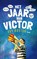 Het jaar van Victor, Aby Hartog - Gebonden - 9789045115399