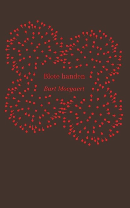 Blote handen, Bart Moeyaert - Ebook - 9789045118604