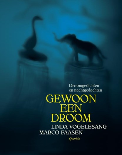 Gewoon een droom, Linda Vogelesang - Gebonden - 9789045120799