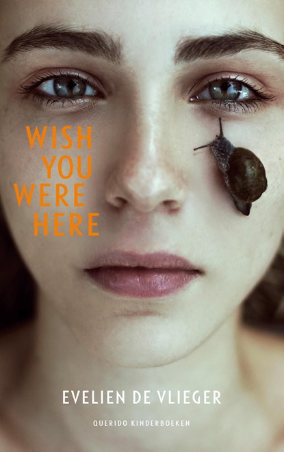 Wish you were here, Evelien de Vlieger - Ebook - 9789045120966