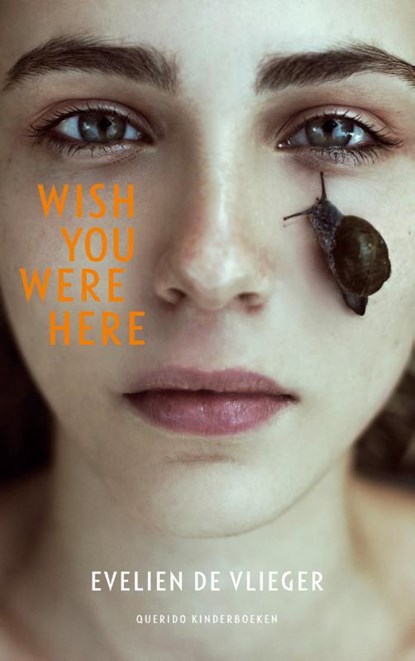 Wish you were here, Evelien de Vlieger - Paperback - 9789045121147