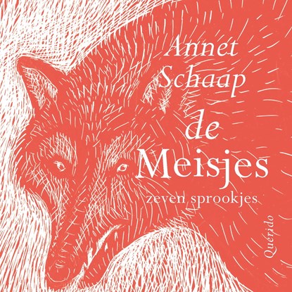 De meisjes, Annet Schaap - Luisterboek MP3 - 9789045126944