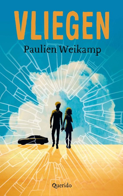 Vliegen, Paulien Weikamp - Ebook - 9789045127637