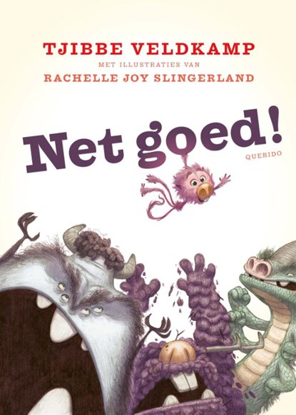 Net goed!, Tjibbe Veldkamp - Gebonden - 9789045128801