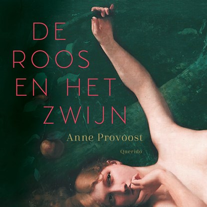 De Roos en het Zwijn, Anne Provoost - Luisterboek MP3 - 9789045129525
