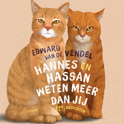 Hannes en Hassan weten meer dan jij, Edward van de Vendel ; Martijn van der Linden - Luisterboek MP3 - 9789045130743