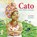 Cato, Joan Windzak - Gebonden - 9789045131795