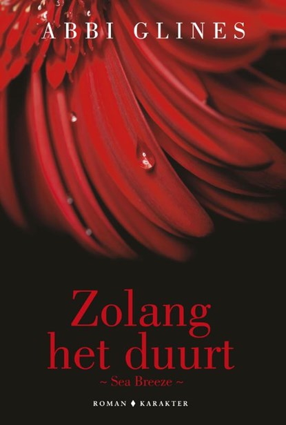 Zo lang het duurt, Abbi Glines - Paperback - 9789045213255