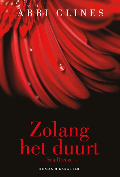 Zolang het duurt, Abbi Glines - Ebook - 9789045213354