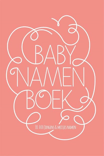 Babynamenboek, Nicole Neven - Paperback - 9789045320595