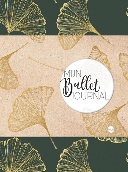 Mijn bullet journal, niet bekend - Paperback - 9789045324289