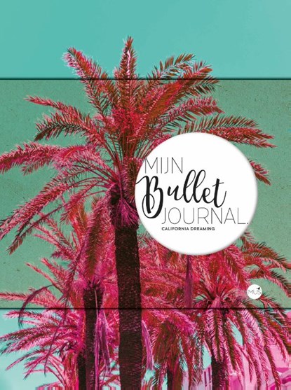 Mijn bullet journal, niet bekend - Paperback - 9789045324982