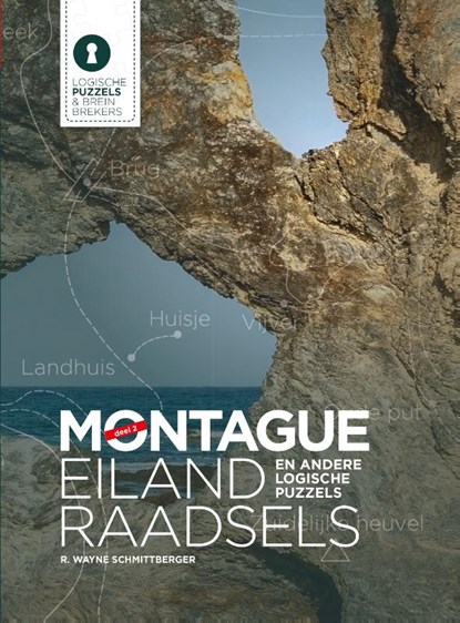 Montague Eiland raadsels 2, R. Wayne Schmittberger - Paperback - 9789045325934