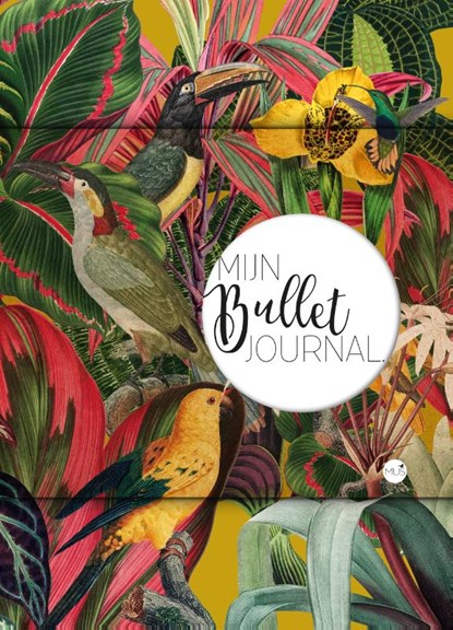 Mijn Bullet Journal, niet bekend - Paperback - 9789045328249