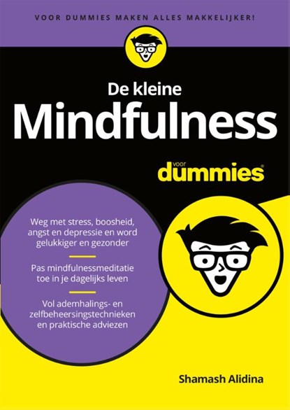 De kleine mindfulness voor dummies, Shamash Alidina - Paperback - 9789045350387