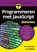 Programmeren met JavaScript voor Dummies, Chris Minnick ; Eva Holland - Paperback - 9789045353722