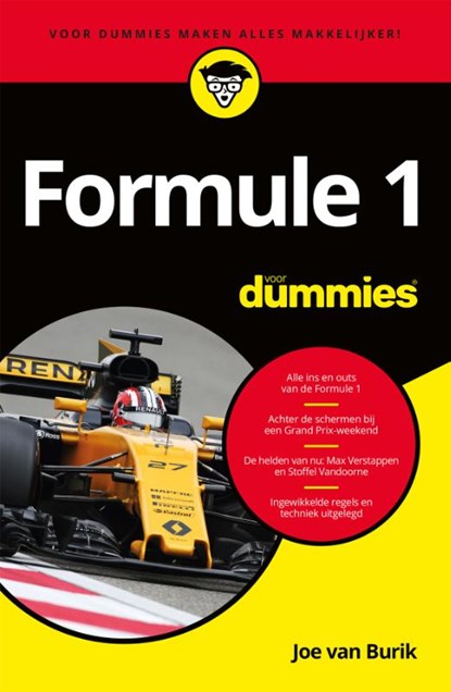 Formule 1 voor dummies, Joe van Burik - Paperback - 9789045353807
