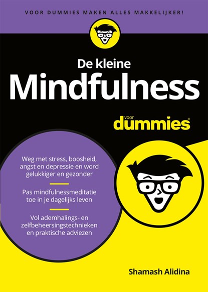 De kleine Mindfulness voor Dummies, Shamash Alidina - Ebook - 9789045355160