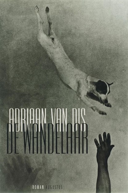 De wandelaar, DIS, Adriaan van - Paperback - 9789045700151