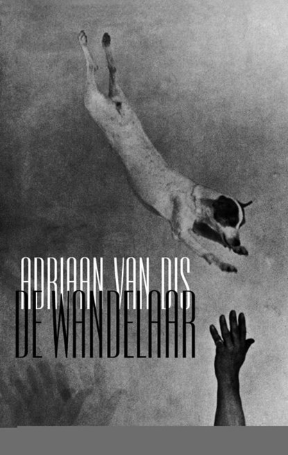 De wandelaar, Adriaan van Dis - Ebook - 9789045702384