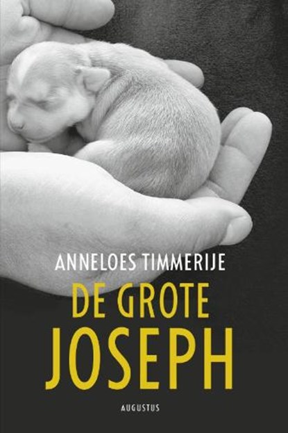 De grote Joseph, TIMMERIJE, Anneloes - Gebonden - 9789045704142