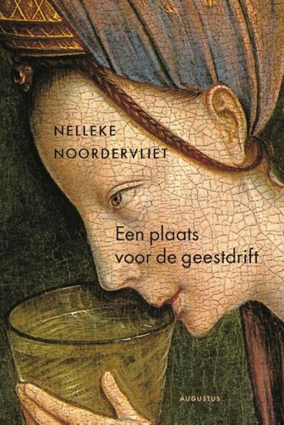 Een plaats voor de geestdrift, Nelleke Noordervliet - Ebook - 9789045705781
