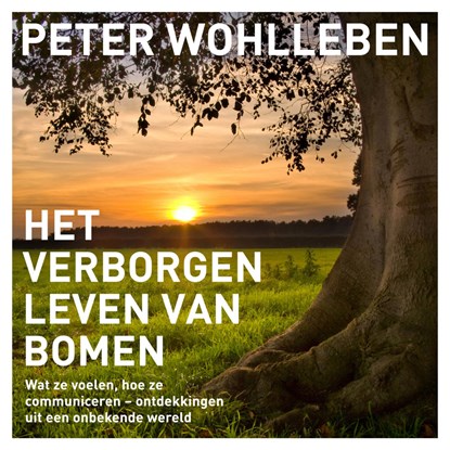 Het verborgen leven van bomen, Peter Wohlleben - Luisterboek MP3 - 9789046172414