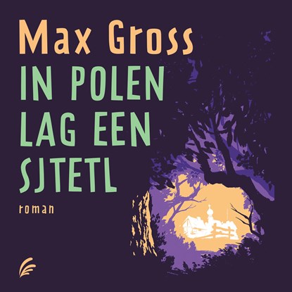 In Polen lag een sjtetl, Max Gross - Luisterboek MP3 - 9789046175521