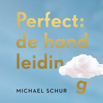 Perfect: de handleiding, Michael Schur - Luisterboek MP3 - 9789046176191