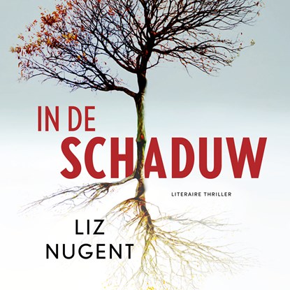 In de schaduw, Liz Nugent - Luisterboek MP3 - 9789046177983