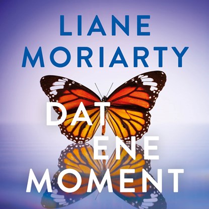 Dat ene moment, Liane Moriarty - Luisterboek MP3 - 9789046180211