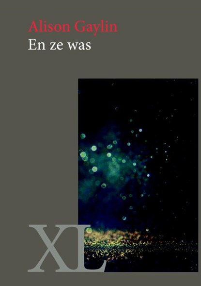 En ze was, Alison Gaylin - Gebonden - 9789046311196