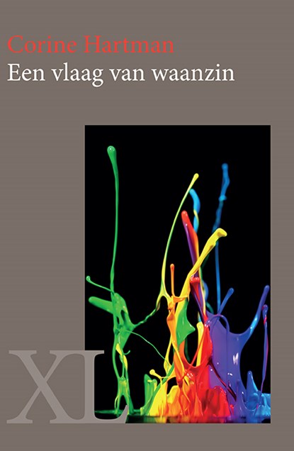 Een vlaag van waanzin, Corine Hartman - Gebonden - 9789046312445