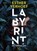 Labyrint, Esther Verhoef - Gebonden - 9789046313237