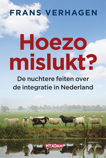 Hoezo mislukt?, Frans Verhagen - Ebook - 9789046808511