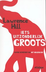 Iets uitzonderlijk groots - Lawrence Hill - 9789046812112