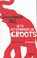 Iets uitzonderlijk groots, Lawrence Hill - Paperback - 9789046812112