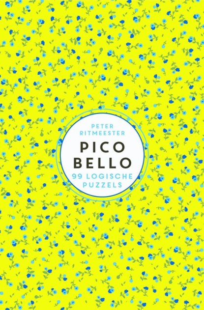 99 logische puzzels, Peter Ritmeester - Paperback - 9789046818510